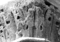 files/capitals/S-DEN-FR/thumbs/S-DEN-FR 0639.jpg